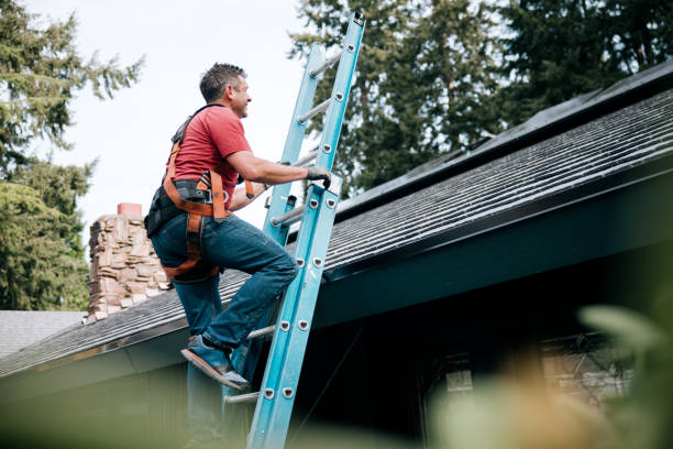 Best Roof Ventilation Installation  in Red Rock, AZ